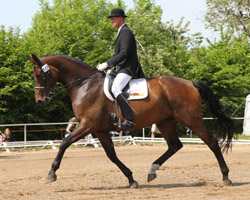 Ralf Voß gewann in Zubzow auf Santana beide M-Dressuren. Fotos: Jutta Wego